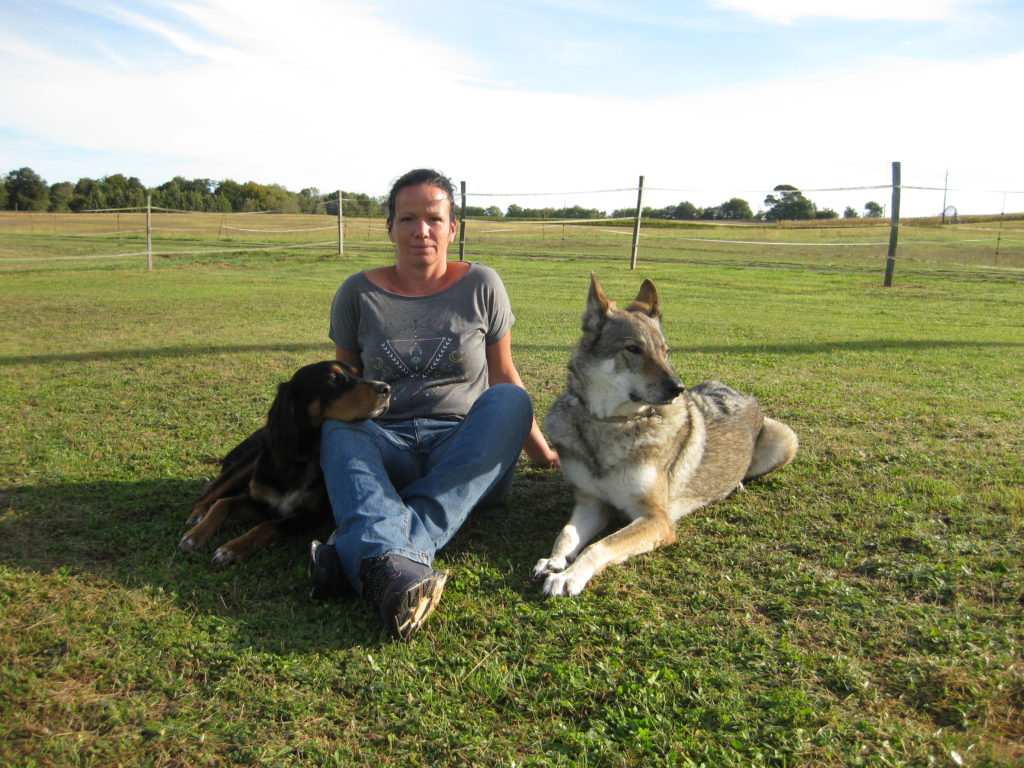 coach chien et cheval