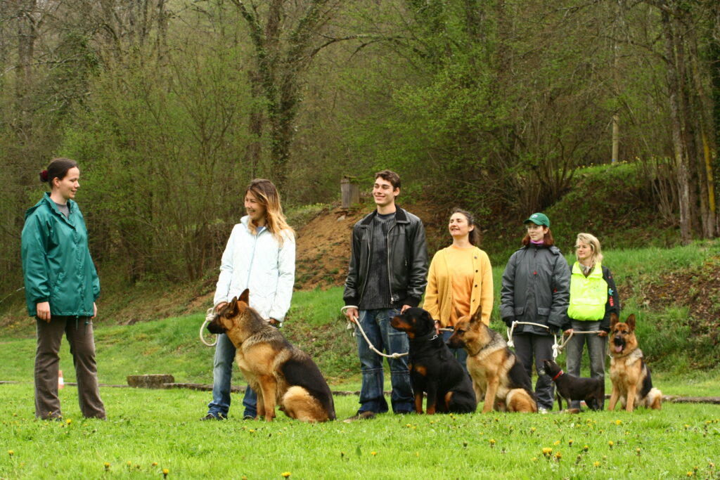 cours collectif education canine